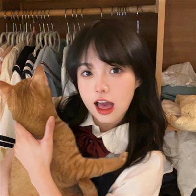 征服2003